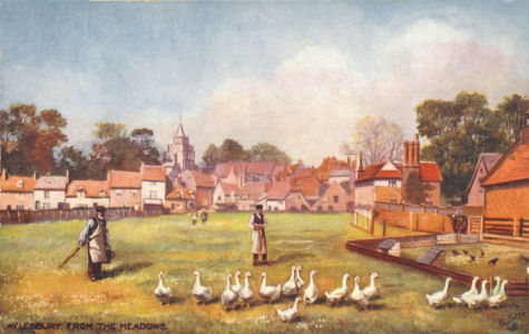 Aylesbury from the Meadows - Ducks - Tuck Oilette