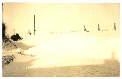 barley-pc-snow-1928-2