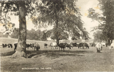 The Park, Berkhamsted Place, Hertfordshire
