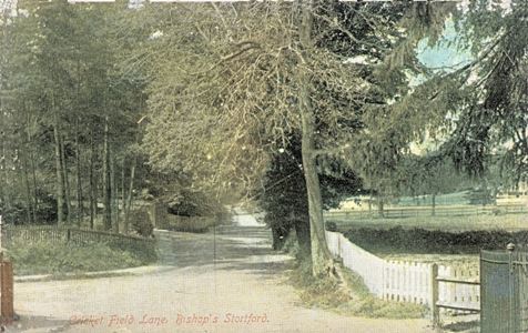 bishops-stortford-cricket-field-lane-1907