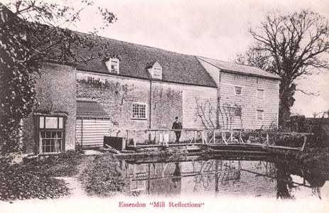 Essendon Mill