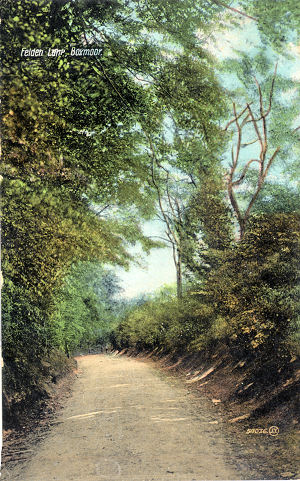 Felden Lane, Boxmoor, Hemel Hempstead