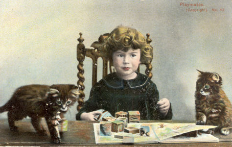 Child with kittens, by Austin, photographer, St Albans, circa 1903