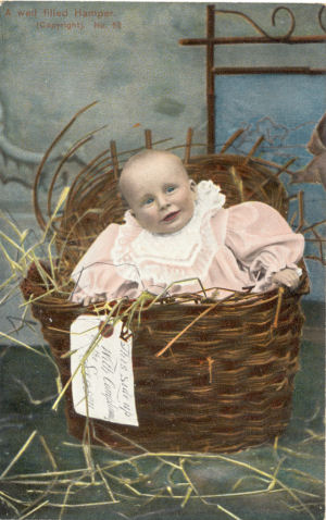 Child in wicker hamper, by Austin, photographer, St Albans, circa 1903