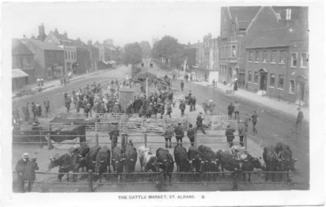Title: The Cattle Market, St Albans - Publisher: Lillywhite Series No. 8 - Manuscript note on back says April 4, 1915.