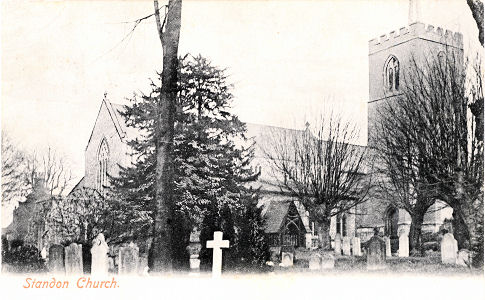 St Mary, Standon, Herts, Bedwell Series post card - 1905