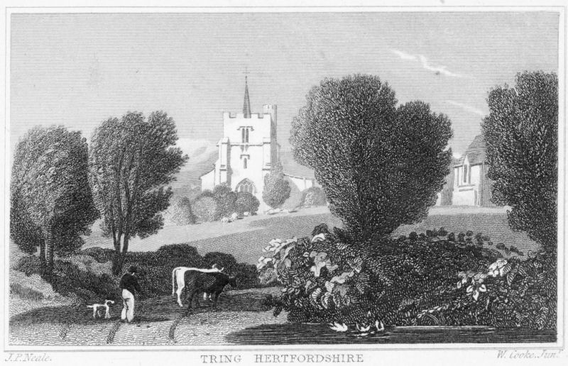 Engraving by Neale & Cooke of Tring Church