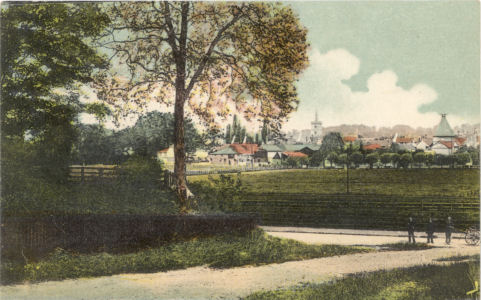 General view of Ware, Herts, Post Card by Price, Ware