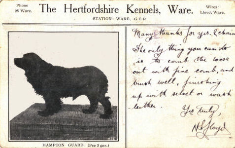 The Hertfordshire Kennels, Ware, Hampton Guard, H S Lloyd