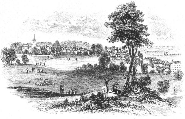 Wiggenhall Park, with Watford in the background