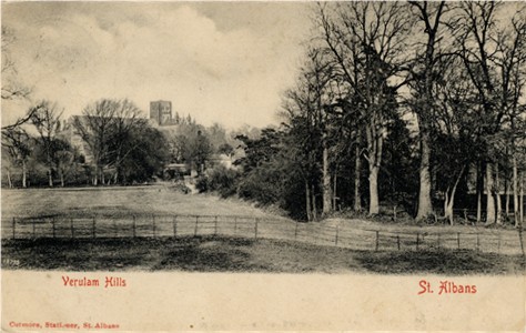 Title: Verulam Hills, St Albans - Publisher: Cutmore, Stationer, St Albans - Printed at the Works, Dresden - Date: circa 1907